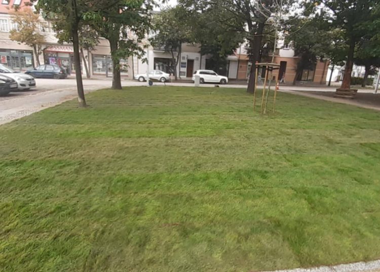 Słupca coraz bardziej zielona