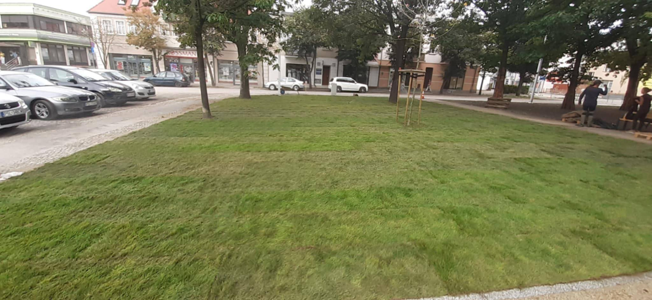 Słupca coraz bardziej zielona