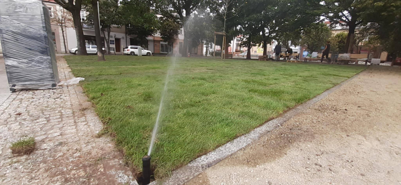 Słupca coraz bardziej zielona