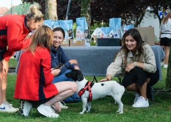 Popołudnie pod znakiem merdających ogonów i świetnej zabawy