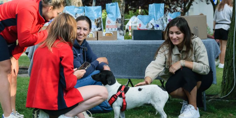 Popołudnie pod znakiem merdających ogonów i świetnej zabawy