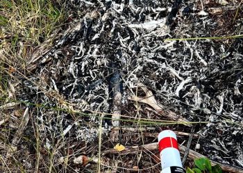 Ogień samoistnie wygasł