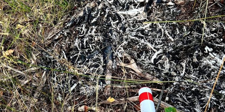 Ogień samoistnie wygasł