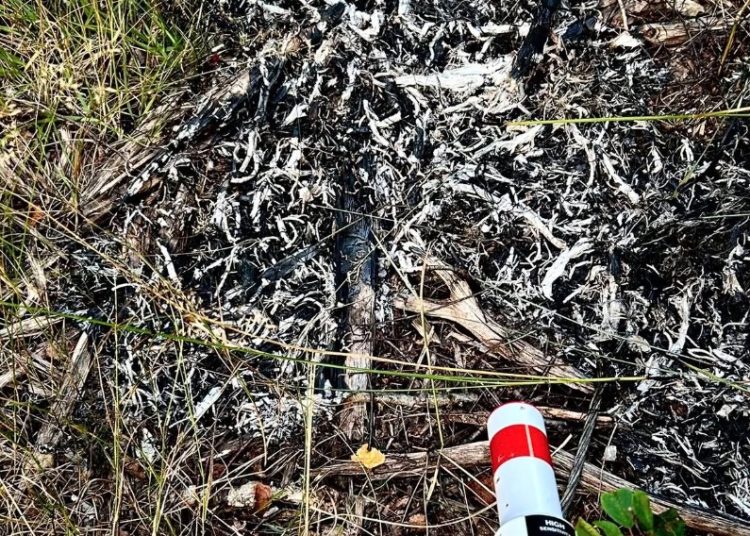 Ogień samoistnie wygasł