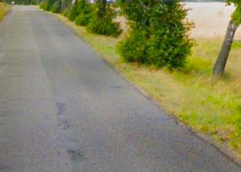 Będzie trzeba wyciąć ponad 100 drzew