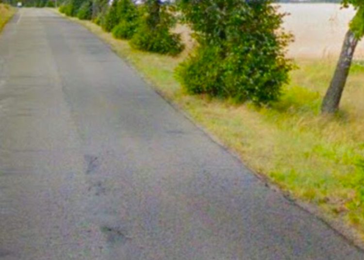 Będzie trzeba wyciąć ponad 100 drzew