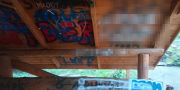 Mają od 11 do 15 lat. Rodzice będą musieli za wszystko zapłacić