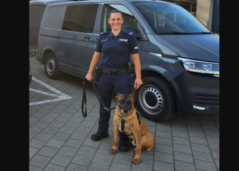 Zgłosili jej zaginięcie. Pomógł pies 