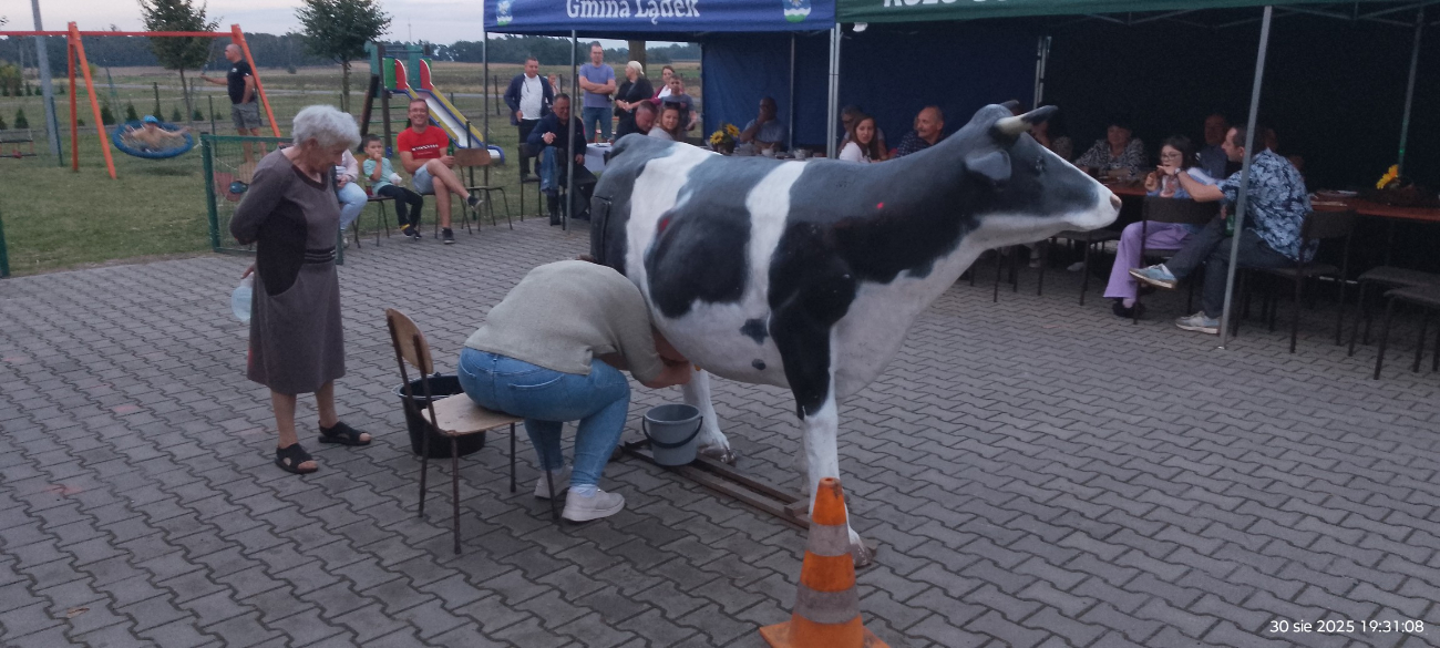 Święto Ziemniaka w Dziedzicach