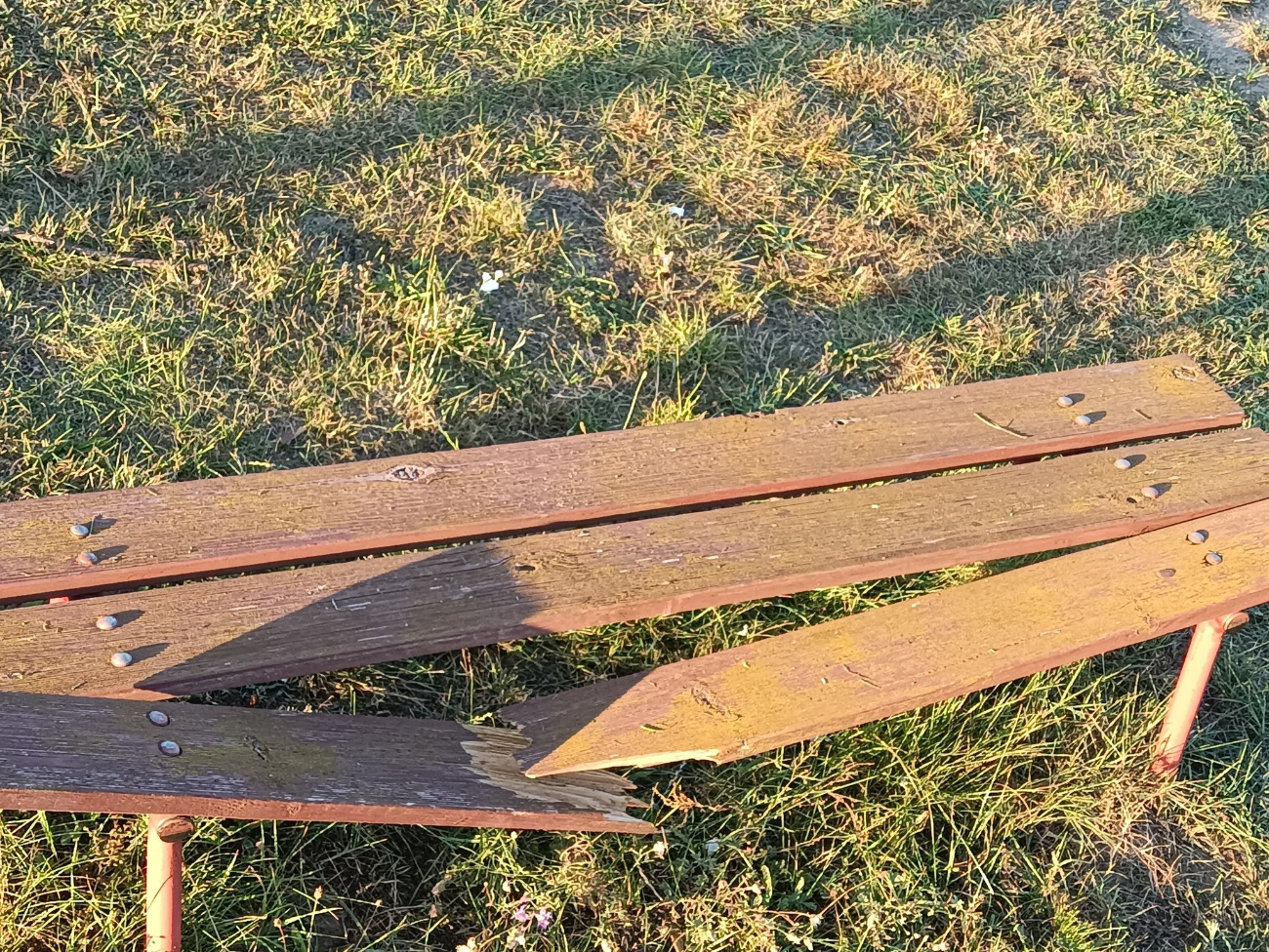 Kto demoluje obiekt w Piotrowicach?