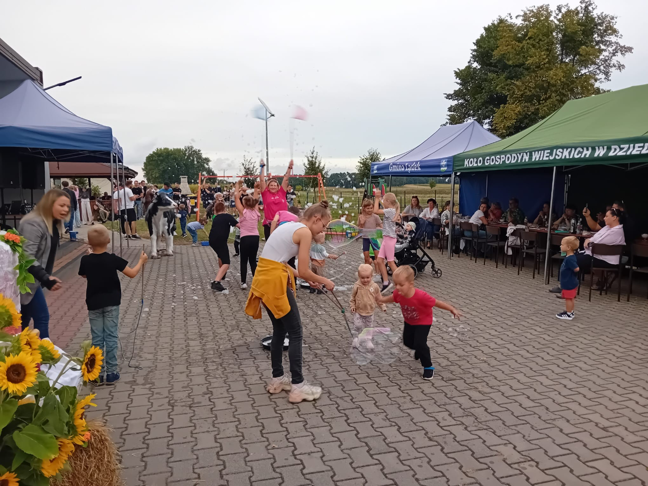 Święto Ziemniaka w Dziedzicach