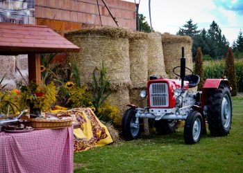 Dożynki parafialne w Kowalewie Opactwie