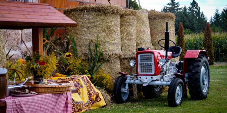 Dożynki parafialne w Kowalewie Opactwie