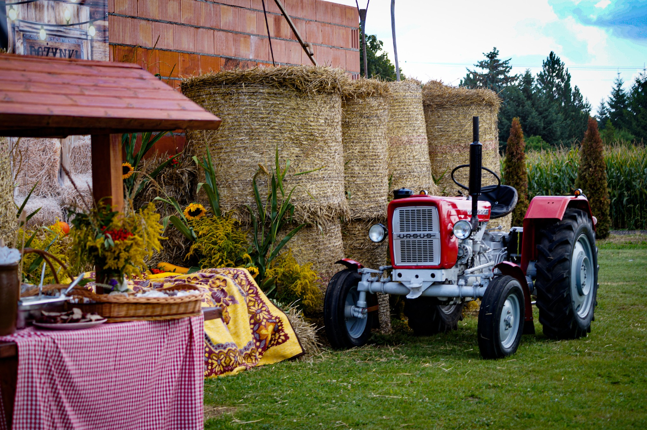 „Moc wrażeń, które długo będziemy wspominać”. Wyjątkowe dożynki w Kowalewie ZDJĘCIA