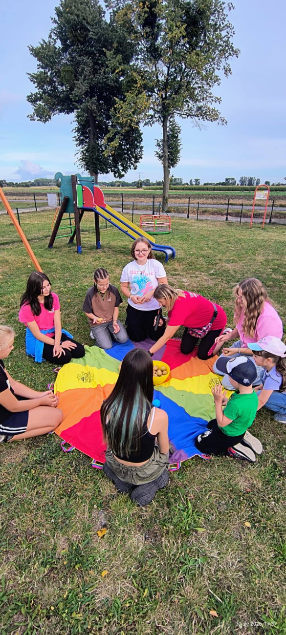 Święto Ziemniaka w Dziedzicach