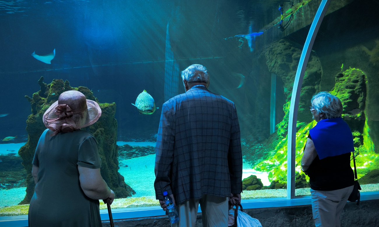 Zagórowski Uniwersytet na wycieczce