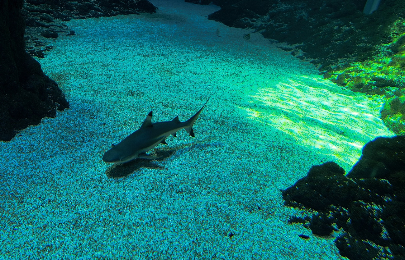 Zagórowski Uniwersytet na wycieczce