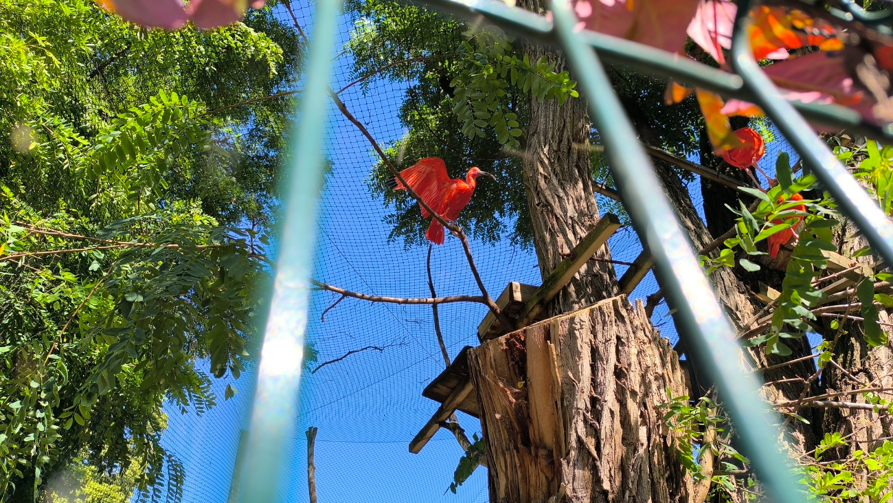 Zagórowski Uniwersytet na wycieczce