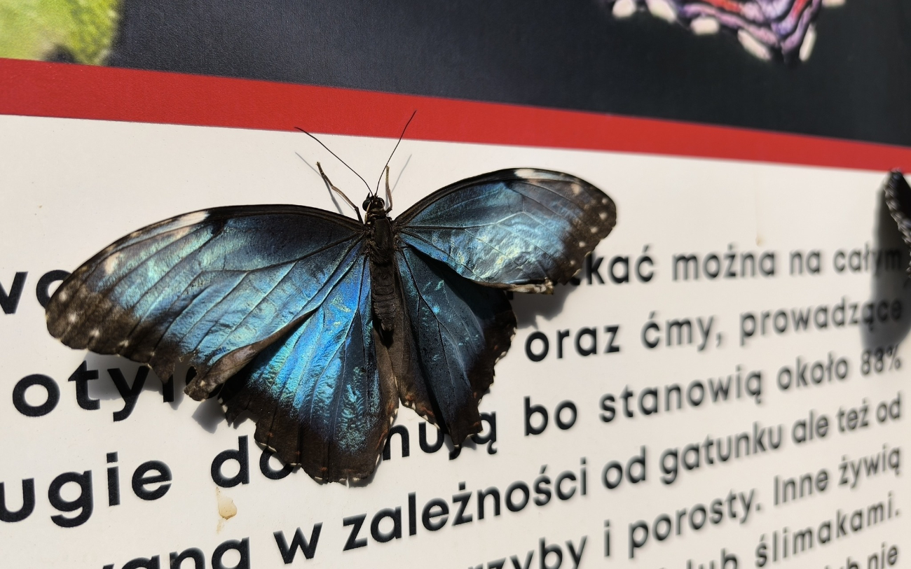 Zagórowski Uniwersytet na wycieczce