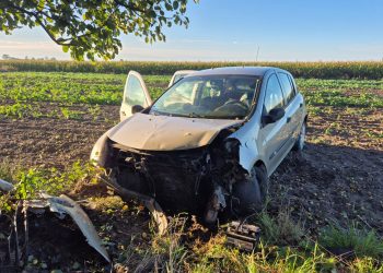 Samochód uderzył w drzewo