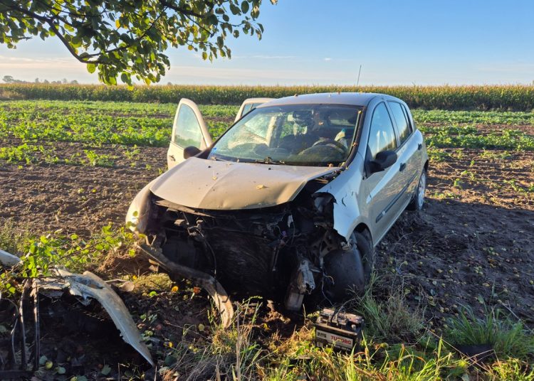 Samochód uderzył w drzewo