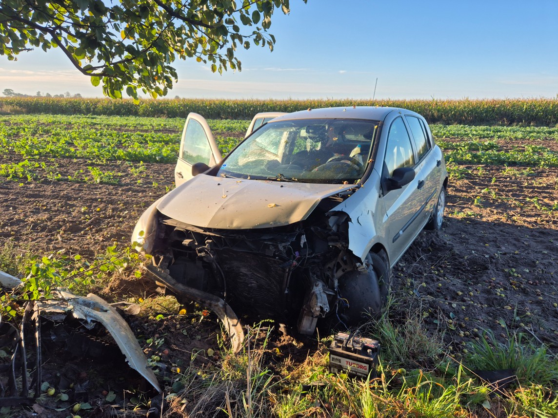 Samochód uderzył w drzewo