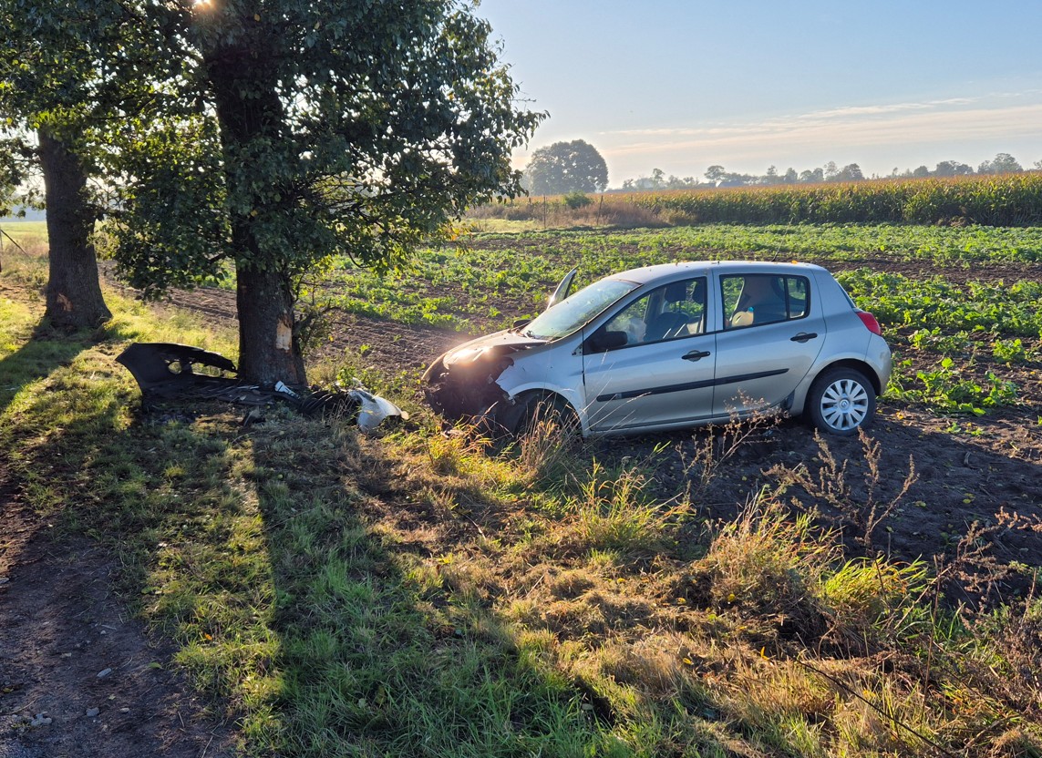 Samochód uderzył w drzewo