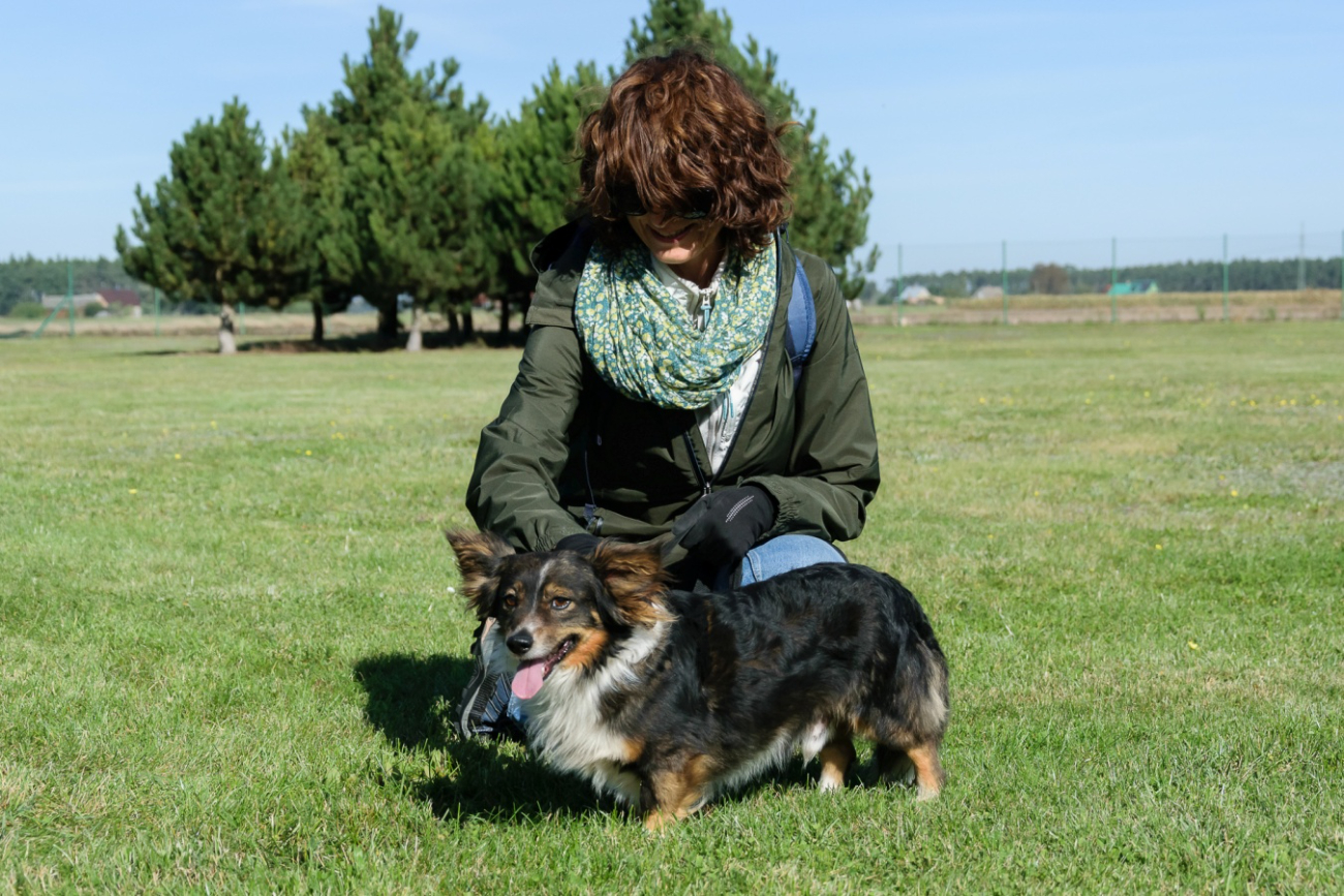 Dzień Otwarty w schronisku