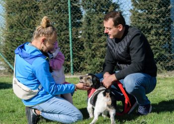 Dzień Otwarty w schronisku