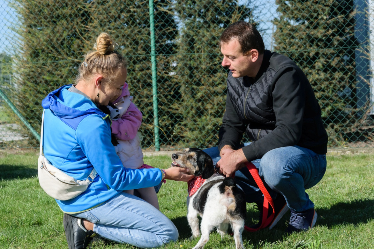 Dzień Otwarty w schronisku