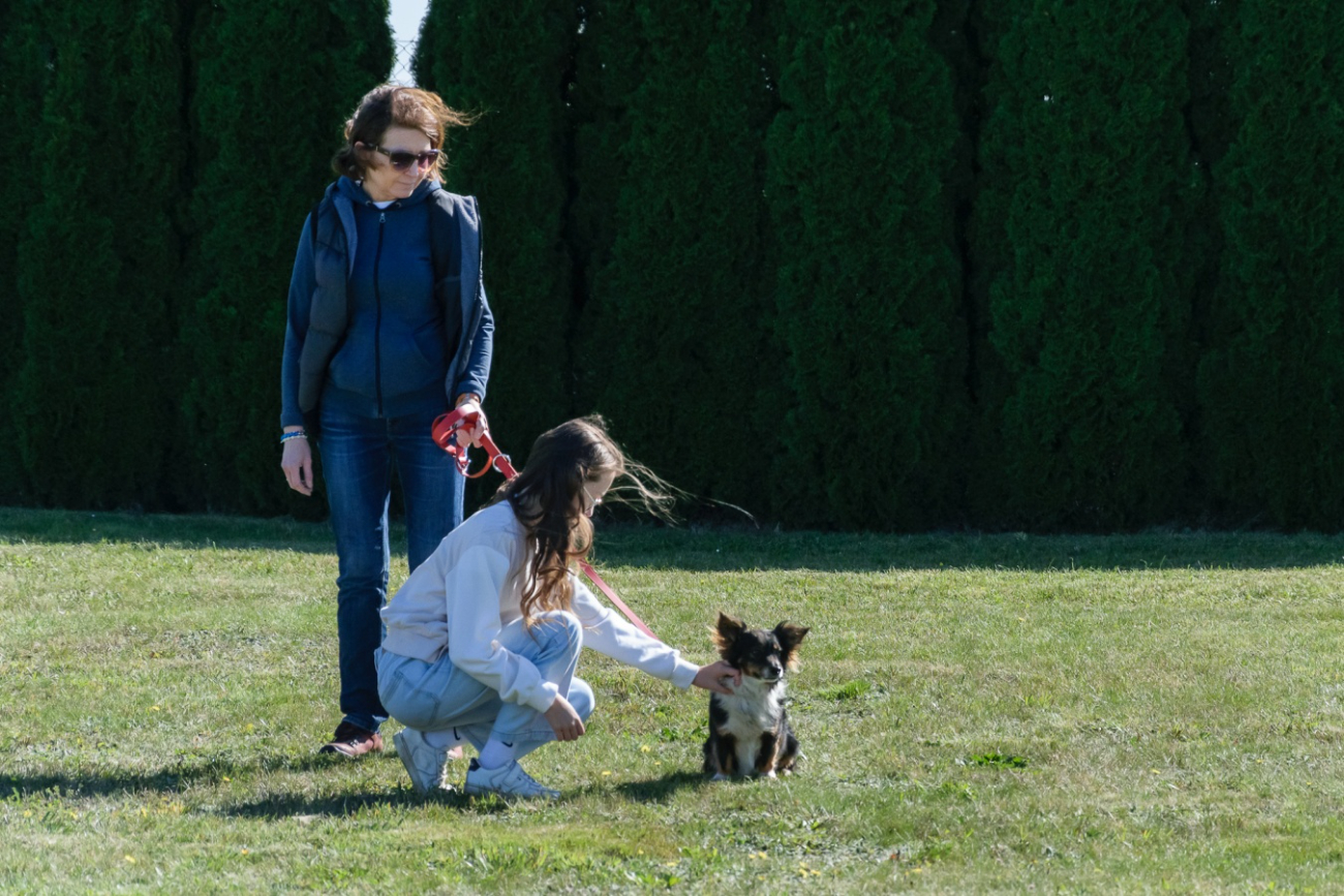 Dzień Otwarty w schronisku