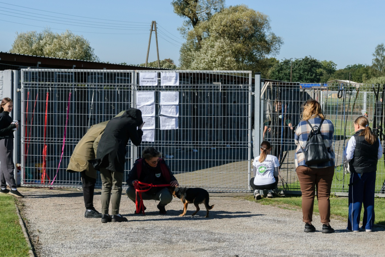 Dzień Otwarty w schronisku