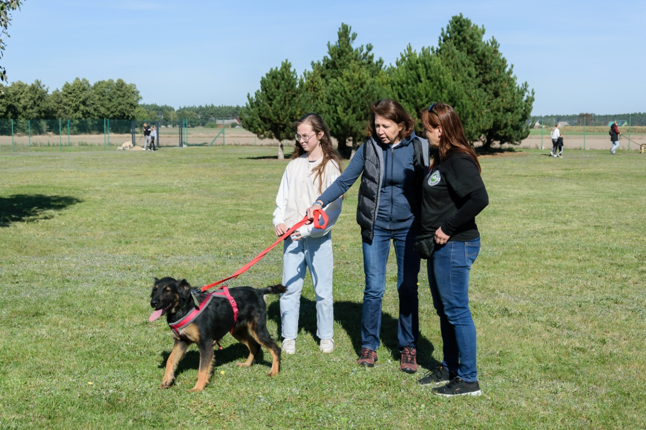 Dzień Otwarty w schronisku