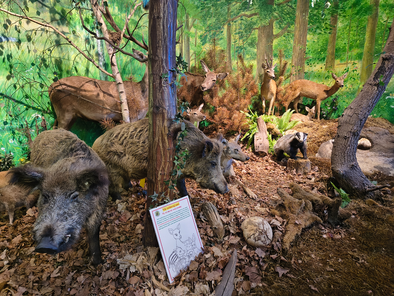 Rajd krwiodawców. Ekipa ze Słupcy była najliczniejsza