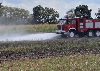 Paliło się ściernisko w Dąbrowie