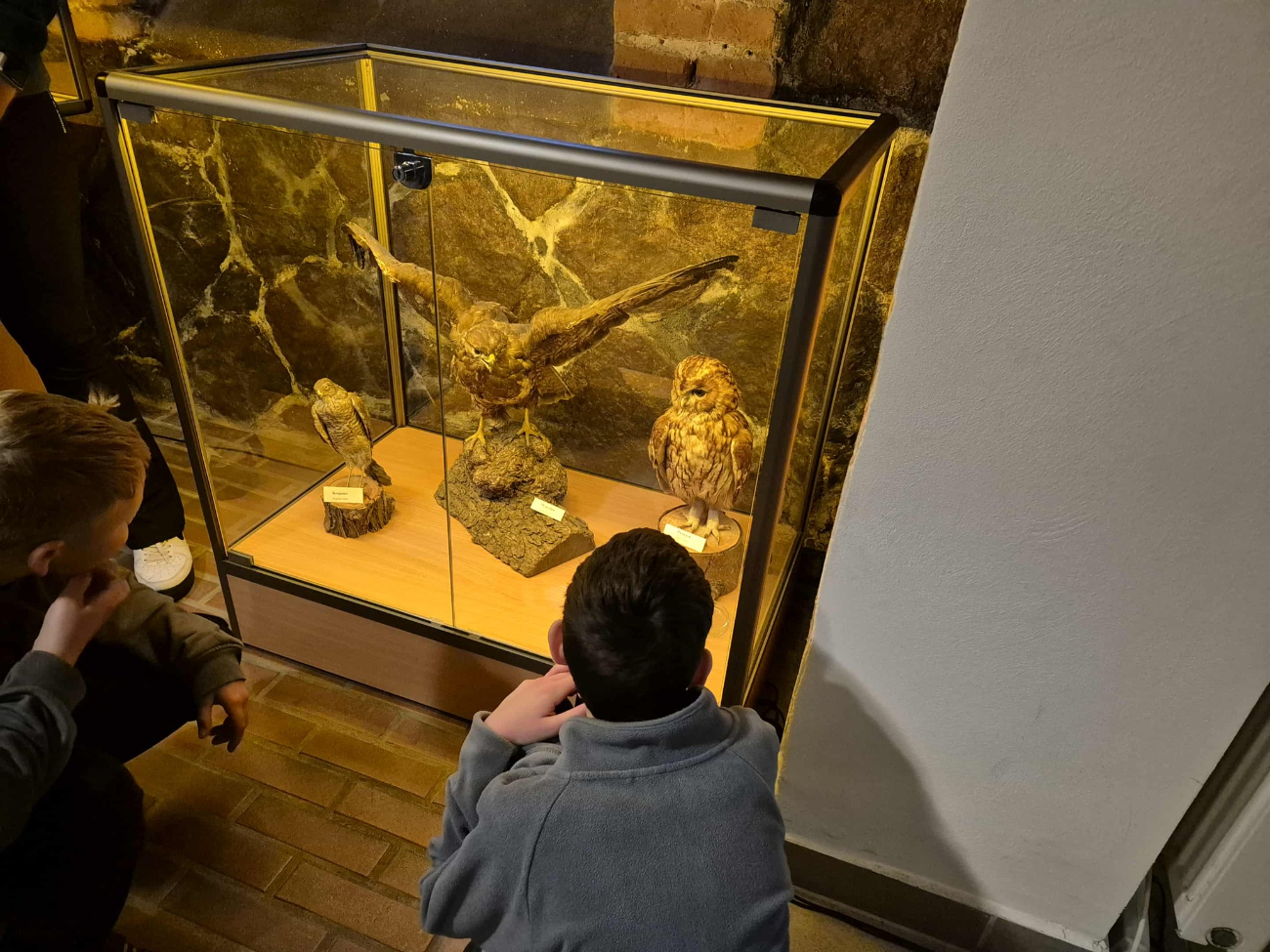 Kowalewo – ciekawa wycieczka