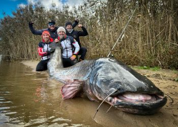 Pobili rekord świata. U nas też łowią