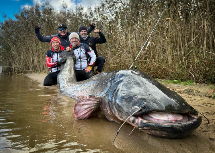 Pobili rekord świata. U nas też łowią