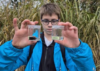 Kowalewo – ciekawa wycieczka