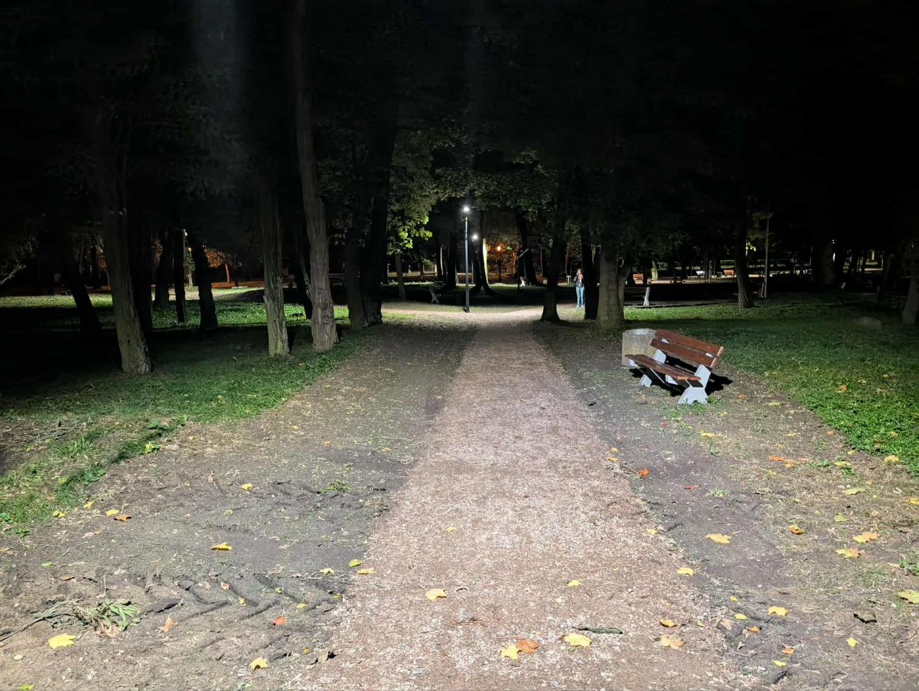 Dzieje się w parku jordanowskim. Wkrótce tyrolka