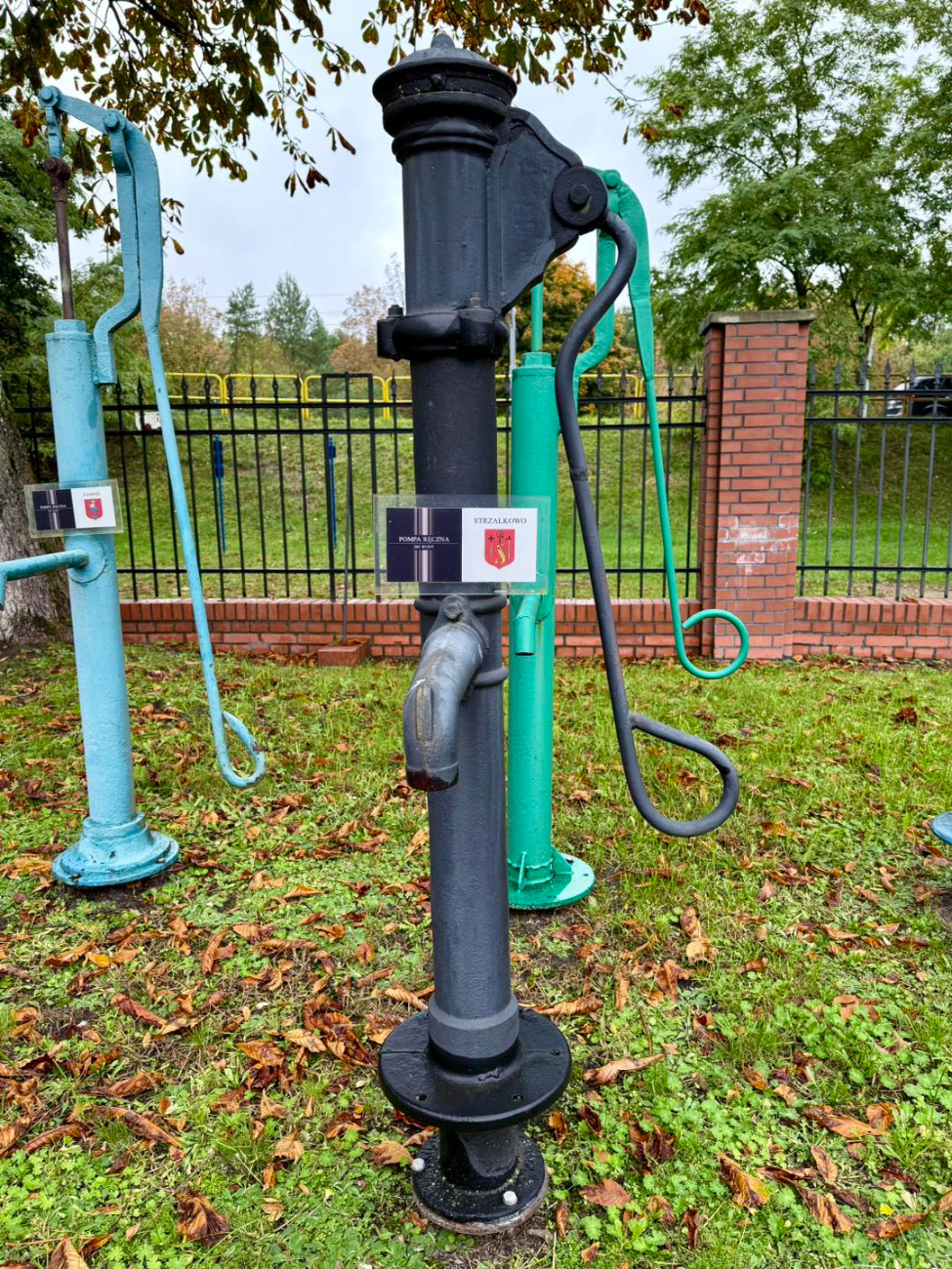 Strzałkowianie na kolejnej wycieczce