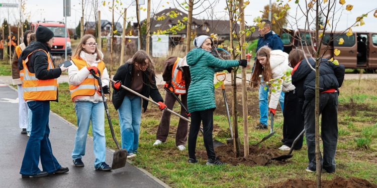 Posadzili drzewa przy drodze w Piotrowicach