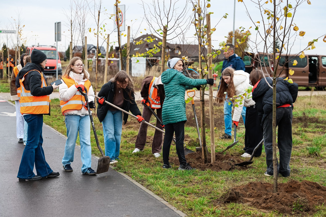 Posadzili drzewa przy drodze w Piotrowicach