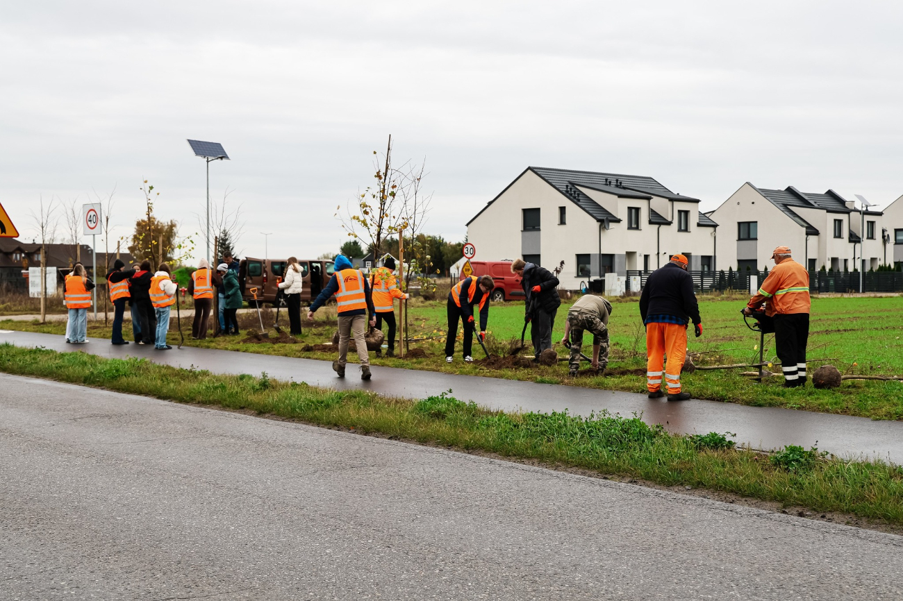 Posadzili drzewa przy drodze w Piotrowicach