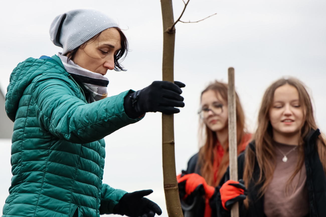 Posadzili drzewa przy drodze w Piotrowicach