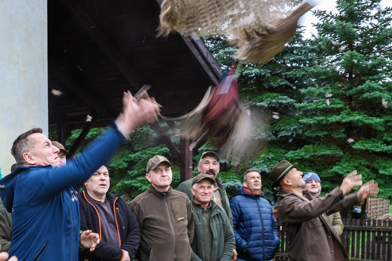 Bażanty i kuropatwy trafiły do kół łowieckich