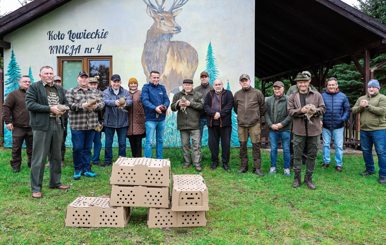 Bażanty i kuropatwy trafiły do kół łowieckich
