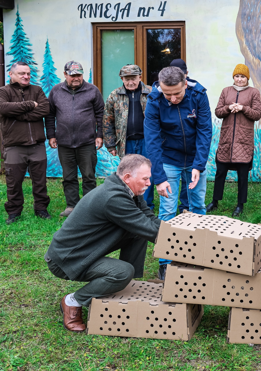 Bażanty i kuropatwy trafiły do kół łowieckich