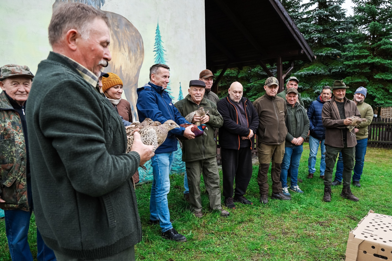 Bażanty i kuropatwy trafiły do kół łowieckich