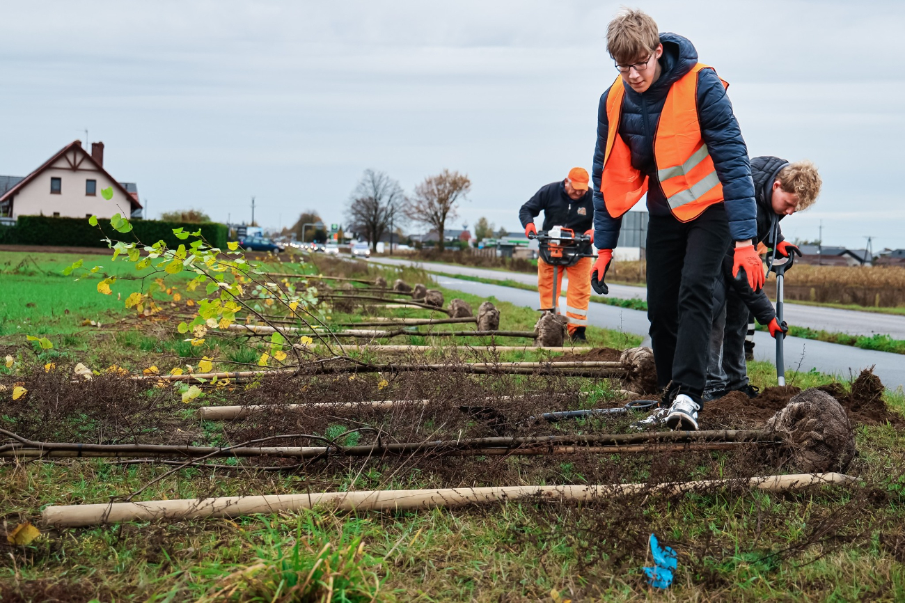Posadzili drzewa przy drodze w Piotrowicach